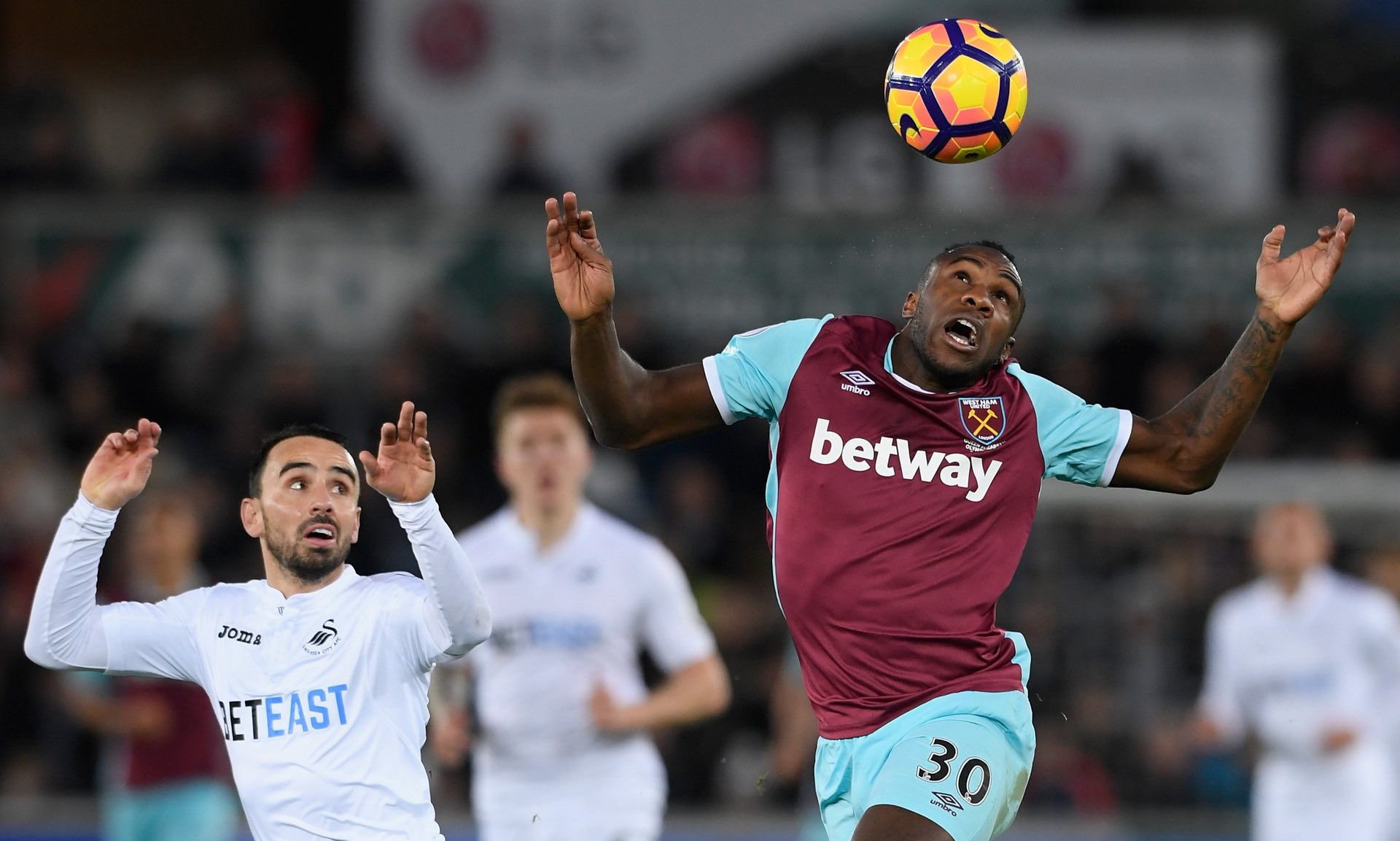 化和商业的 化和商业的